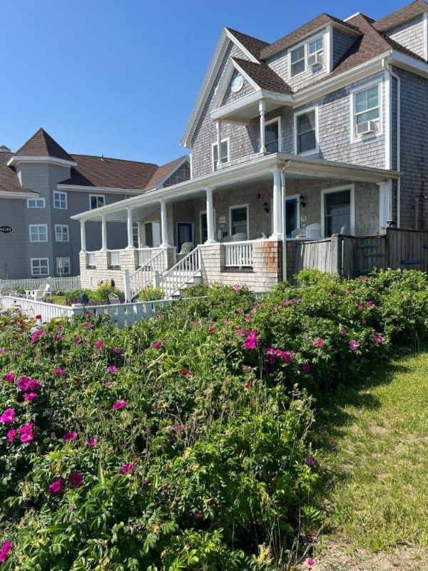 Inkwell Beach Cottage image 19